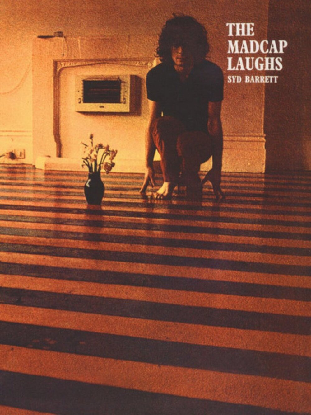 syd barrett the madcap laughs new europe 2014 lp - pink floyd psychedelic guitar